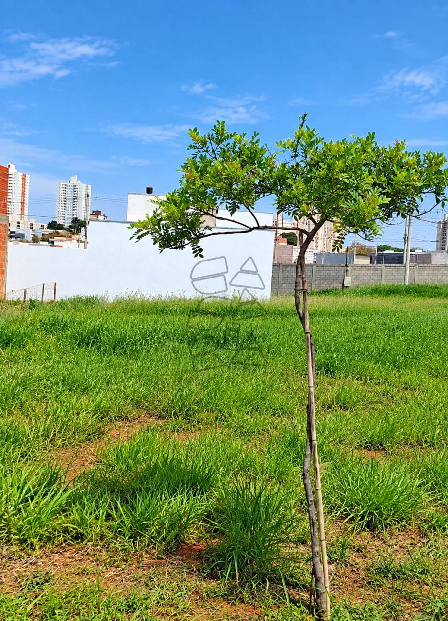 Imagens do imóveis Terreno em condomínio à venda - Terras de São Bento III Limeira