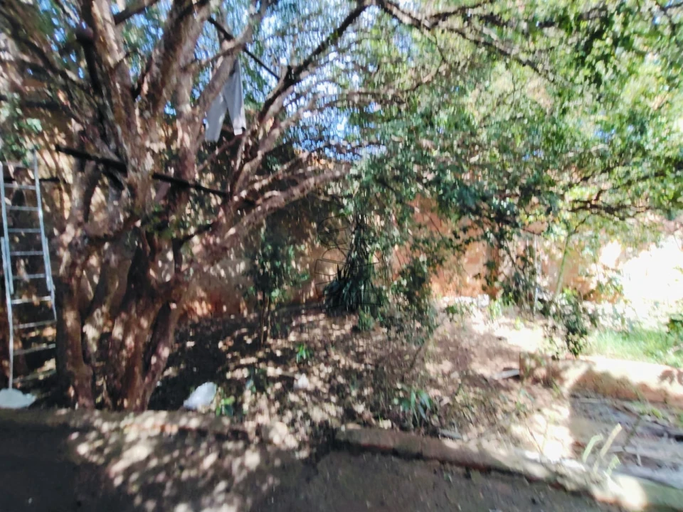 Imagens do imóveis Casa Residencial à venda - Jardim Piratininga