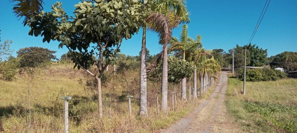 Imagens do imóveis Área rural à venda - Bairro do Pinhal Limeira