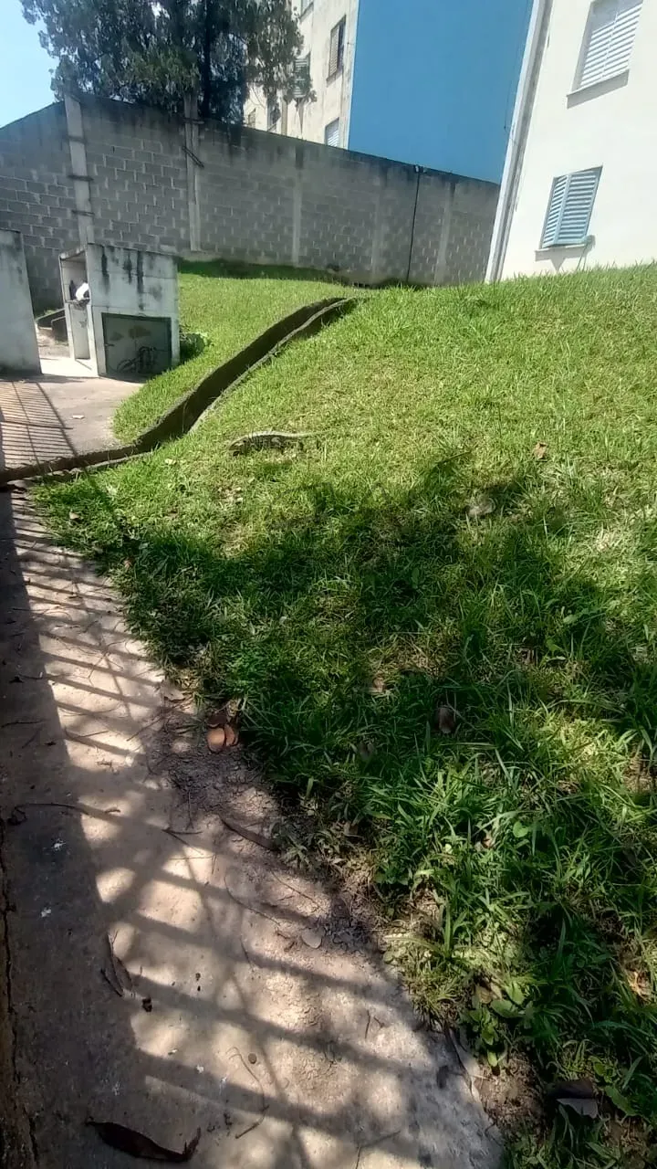 Imagens do imóveis Apartamento à venda - Condomínio Olindo de Lucca - Olga Veroni Limeira