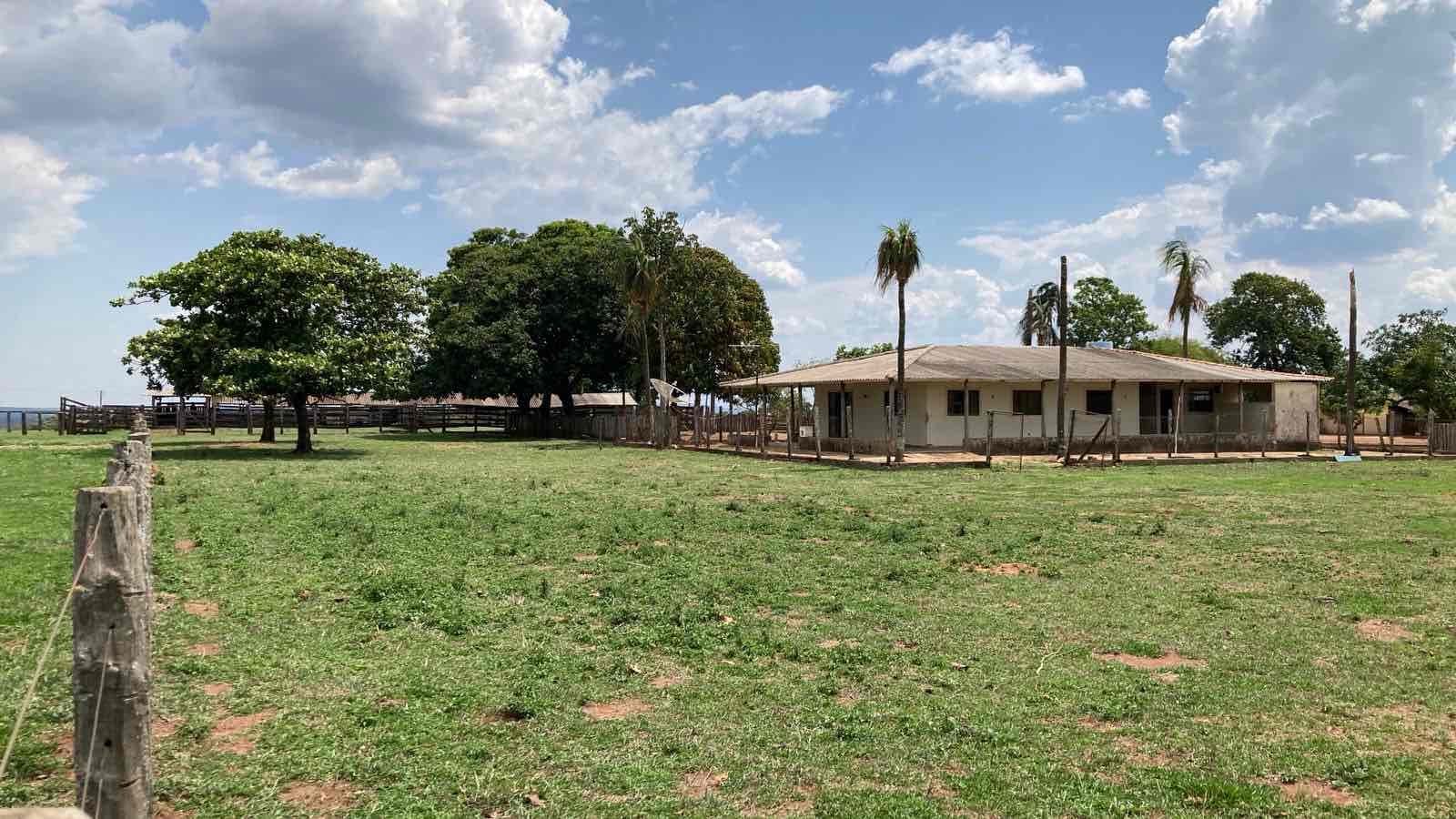 Fazenda à venda, 3000 hectares região de  Alto Garças, MT, 1400 ha abertos e agricultáveis, poço artesiano, casa sede, casa funcionário
