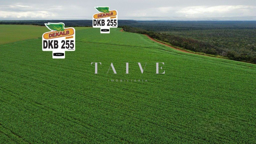 Fazenda 850 hectares à venda, em Sapezal MT, plantio soja e milho plana e mecanizável, com infraestrutura