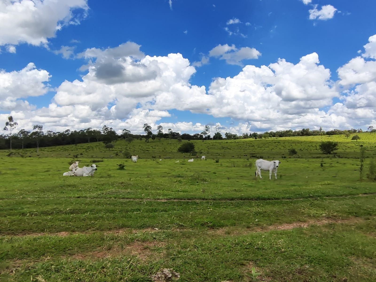 Fazenda à venda, Área Rural de Botucatu, Botucatu, SP