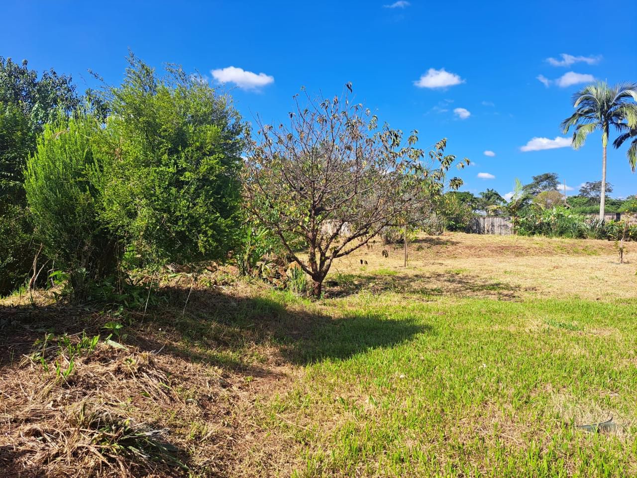 Chácara à venda 3695m², Estância Cabral, Cambé, PR