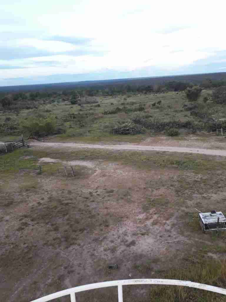 Fazenda 3000 hectares à venda , área plana, casa sede, barracão, poço artesiano, internet e 63 km da cidade de Campos de Julio MT