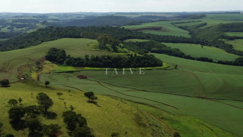 Imagens do imóveis Fazenda/Sítios/Chácaras À Venda São Luiz Londrina