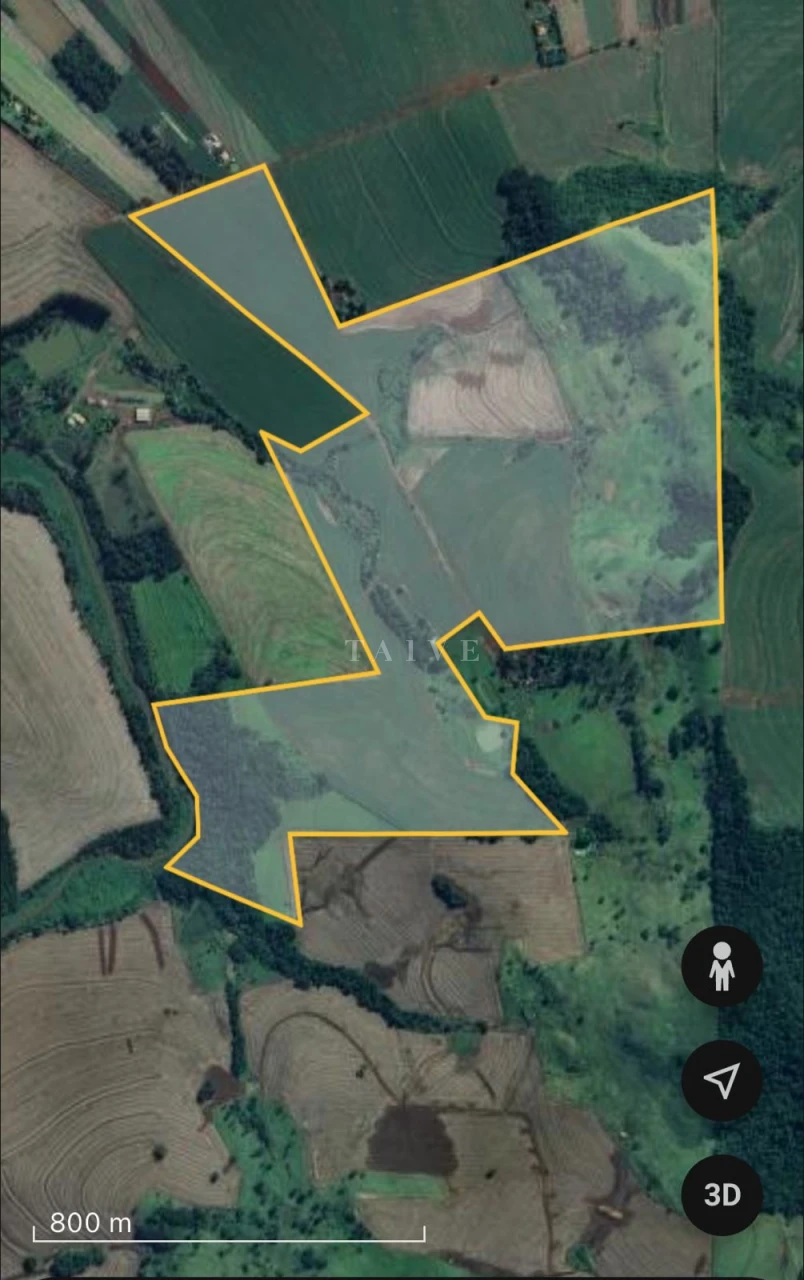 Imagens do imóveis Excelente Fazenda À Venda, 40 Alqueires, Fazenda Celeste, Londrina