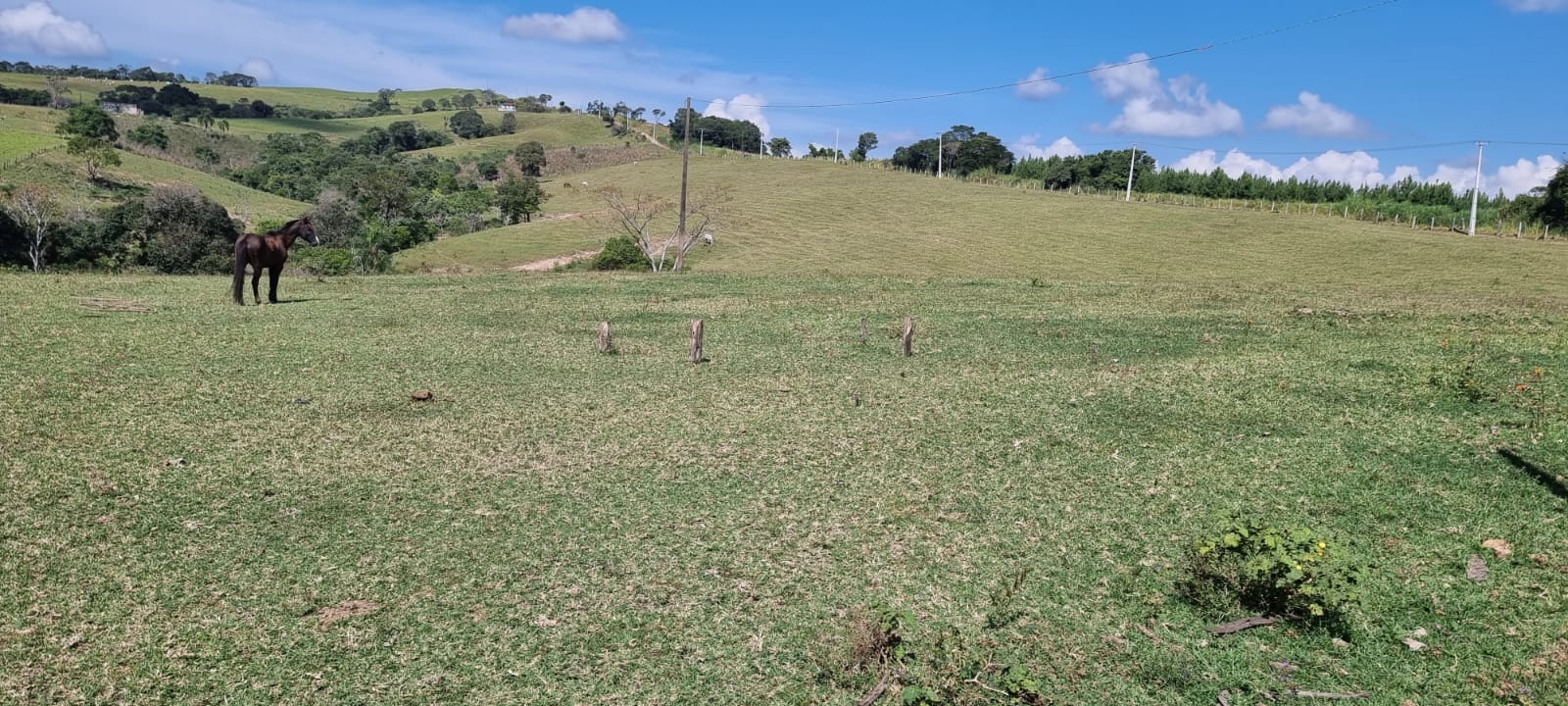Fazenda de 125 alqueires  à venda/planta 80%/com infraestrutura/mecanizada - localizada no norte do Paraná