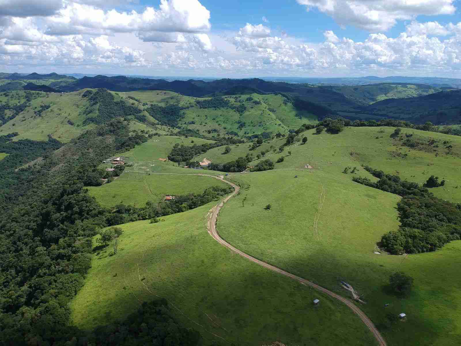 Oportunidade Fazenda 160 alqueires à venda, poço artesiano, 02 casas, perto de Ortigueira Pr