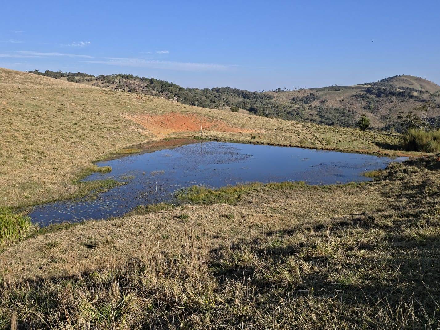 Fazenda à venda, Área Rural de Capão Bonito, Capão Bonito, SP