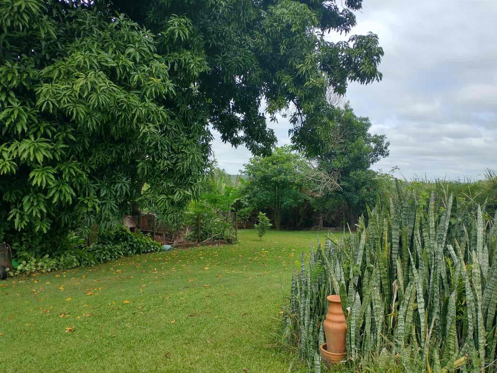 Chácara à venda, próximo ao Royal Forest, 3000 m² total, com casa 300m² de construção, 3 quartos sendo 1 suíte, Shangri-lá, Londrina, PR