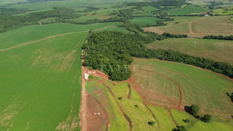 Imagens do imóveis Fazenda/Sítios/Chácaras À Venda São Luiz Londrina