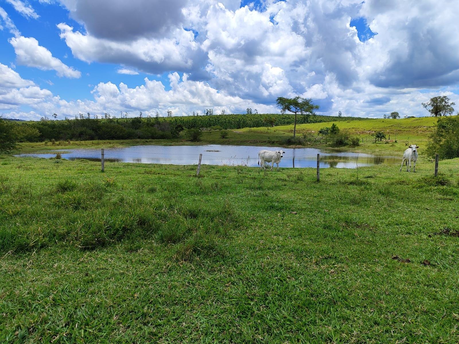 Fazenda à venda, Área Rural de Botucatu, Botucatu, SP