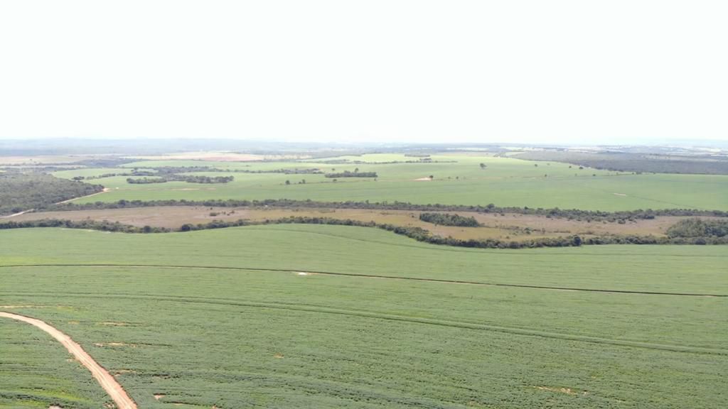 Fazenda 2149 hectares a venda, JÁ PLANTADO, PISTA DE POUSO-  Itiquira, MT