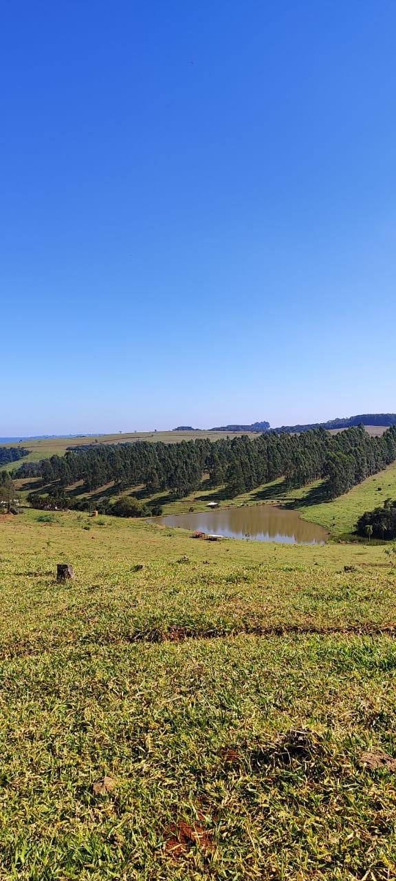 Fazenda à venda, Área Rural de Pardinho, Pardinho, SP