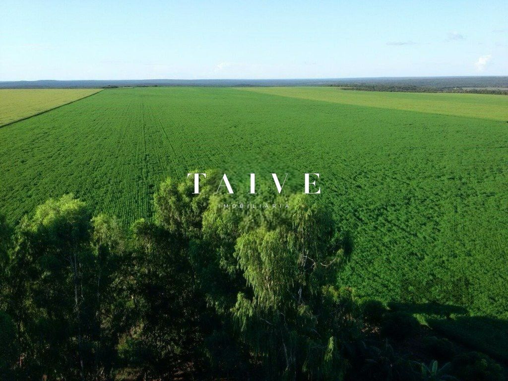 Fazenda 850 hectares à venda, em Sapezal MT, plantio soja e milho plana e mecanizável, com infraestrutura