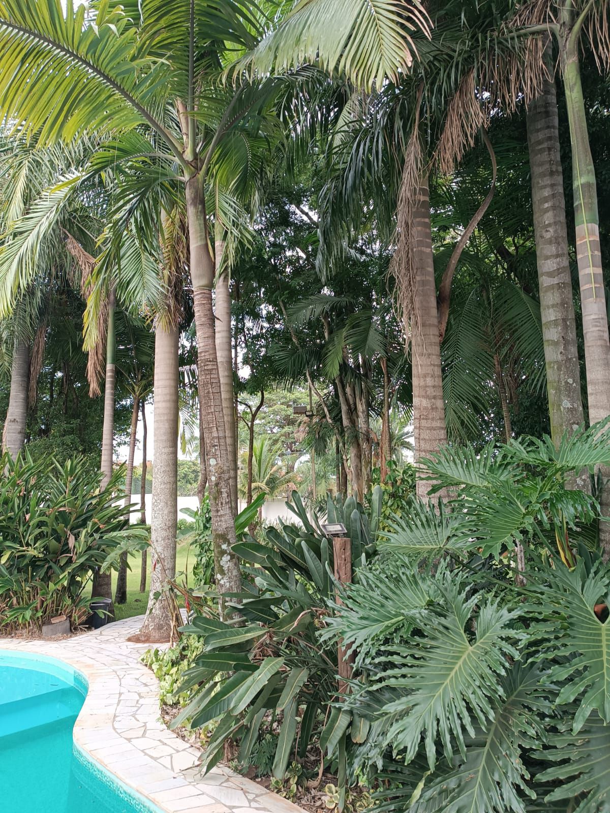 Casa à venda, 4 suítes, 550 m², Condomínio Estância Bomtempo, Recanto do Salto, Londrina, PR