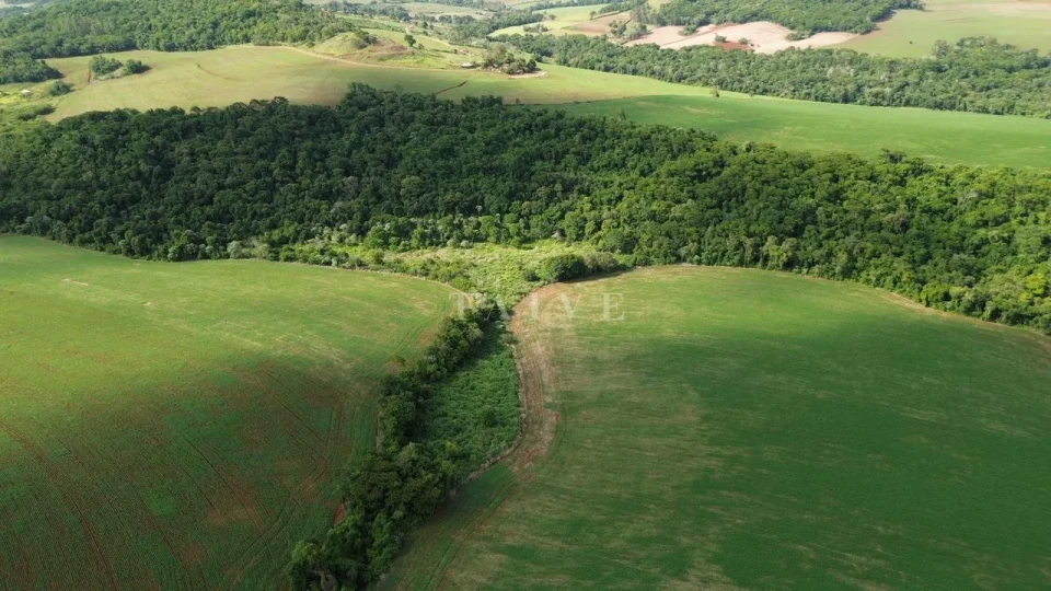 Imagens do imóveis Fazenda/Sítios/Chácaras À Venda São Luiz Londrina