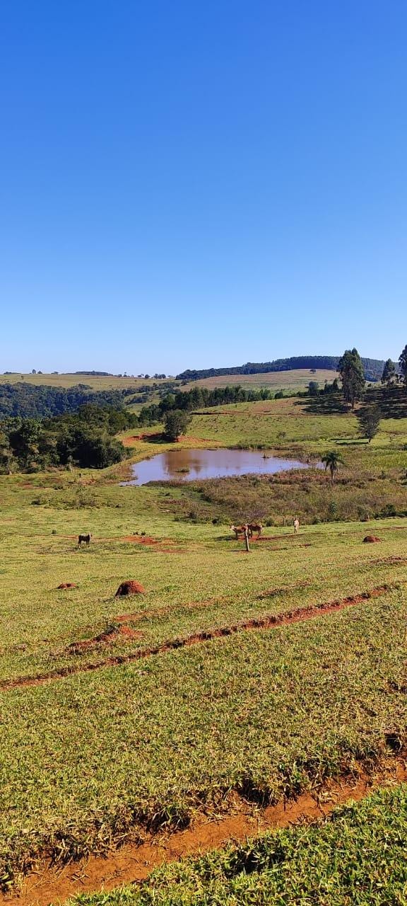 Fazenda à venda, Área Rural de Pardinho, Pardinho, SP