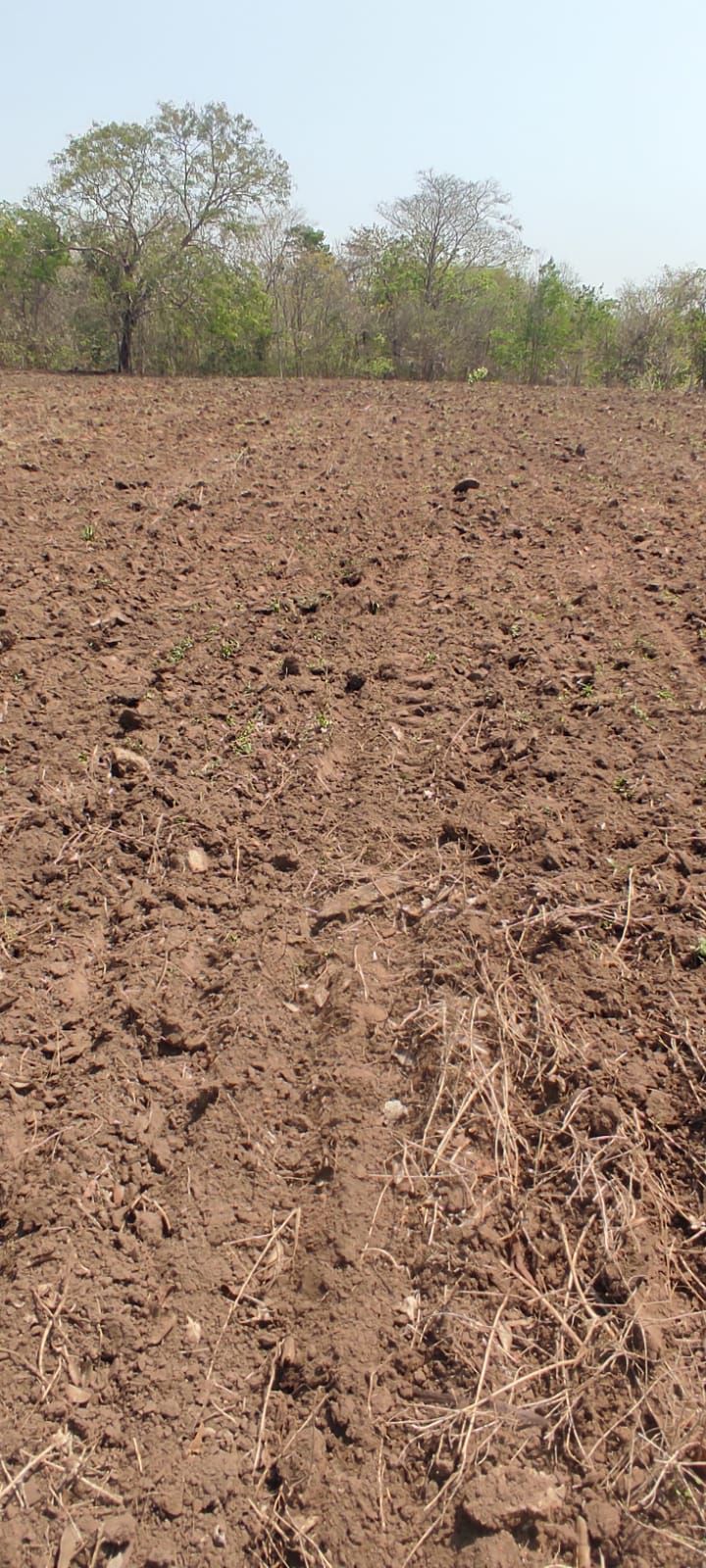 Fazenda à Venda, centro, Rosário Oeste, MT