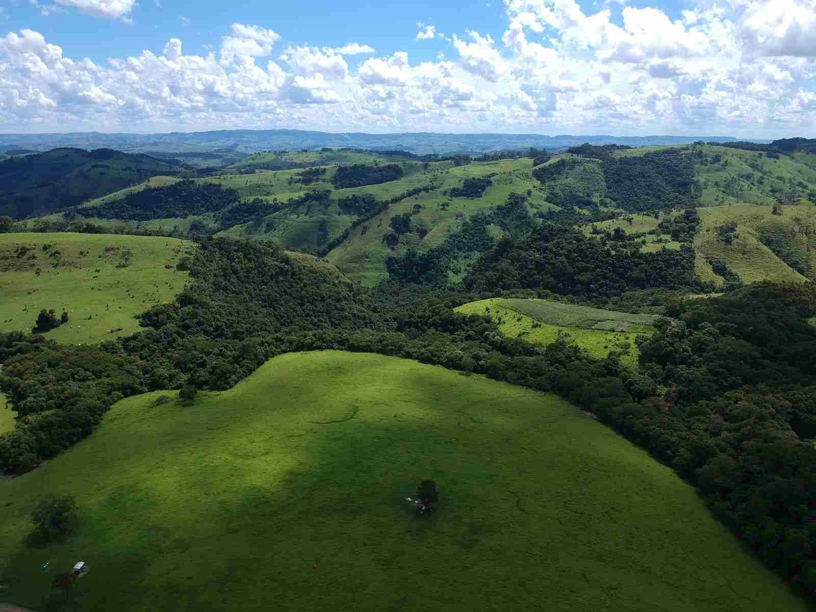 Oportunidade Fazenda 160 alqueires à venda, poço artesiano, 02 casas, perto de Ortigueira Pr