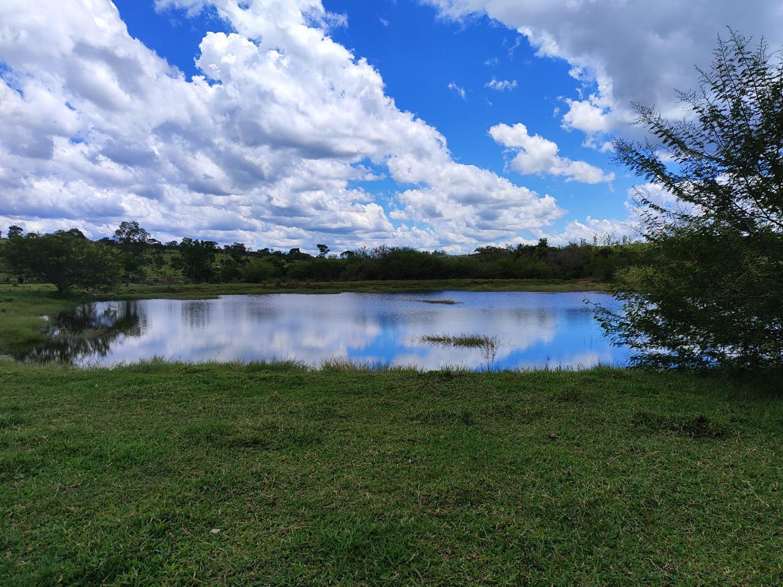 Fazenda à venda, Área Rural de Botucatu, Botucatu, SP