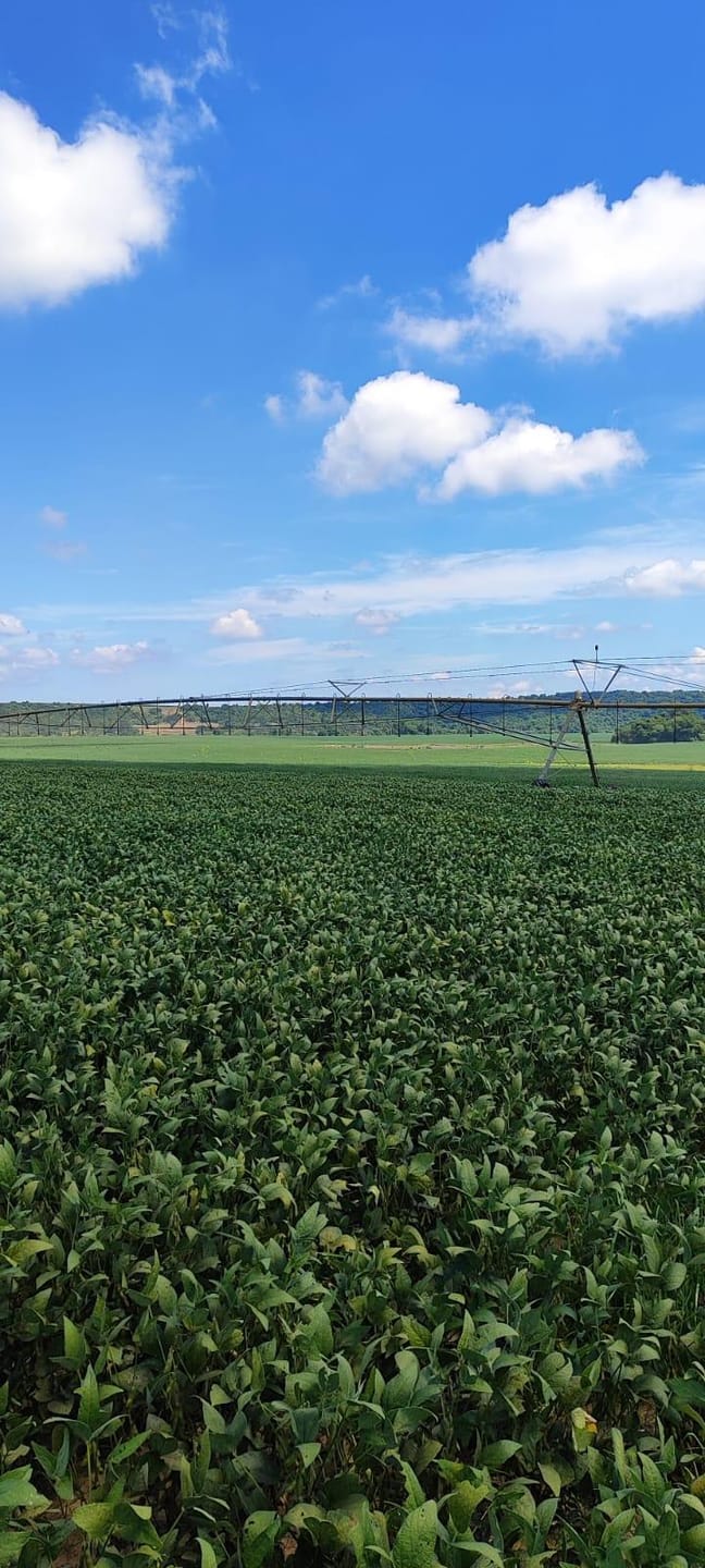 Fazenda à venda, Área Rural de Campos de Holambra, Paranapanema, SP