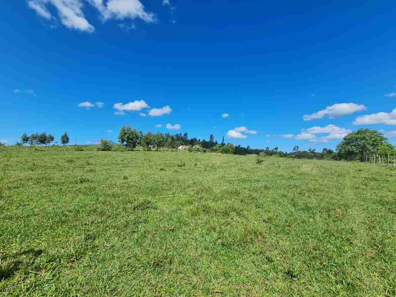 Fazenda à Venda, sao vicente, Araruama, RJ