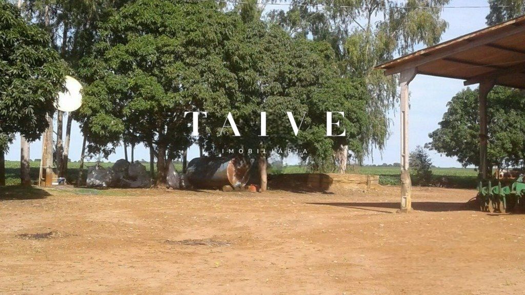 Fazenda 850 hectares à venda, em Sapezal MT, plantio soja e milho plana e mecanizável, com infraestrutura