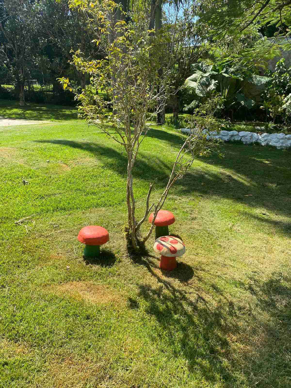 Chácara à venda, 6 mil m², casa com 250m² úteis, 3 quartos sendo 1 suíte, poço artesiano, baia de cavalos, 8km de Londrina- Limoeiro Fazenda Nata