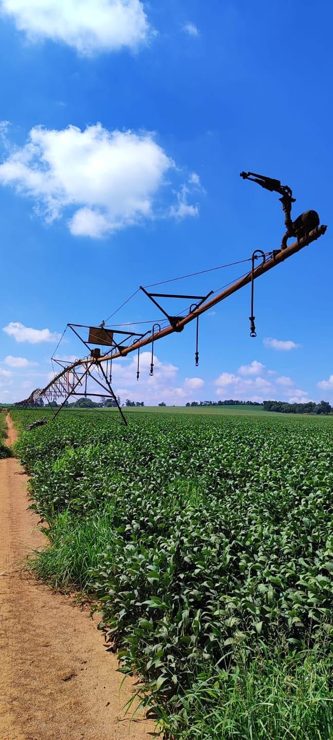 Fazenda à venda, Área Rural de Campos de Holambra, Paranapanema, SP