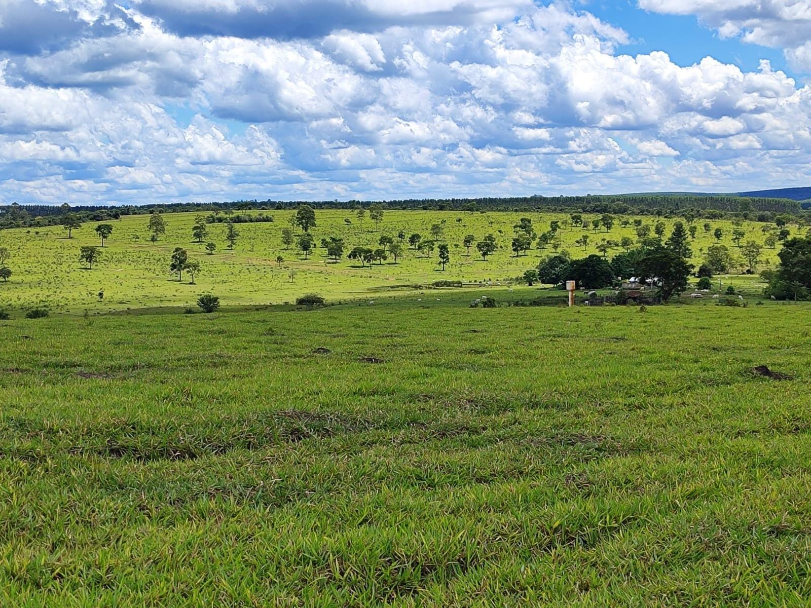 Fazenda à venda, Área Rural de Botucatu, Botucatu, SP