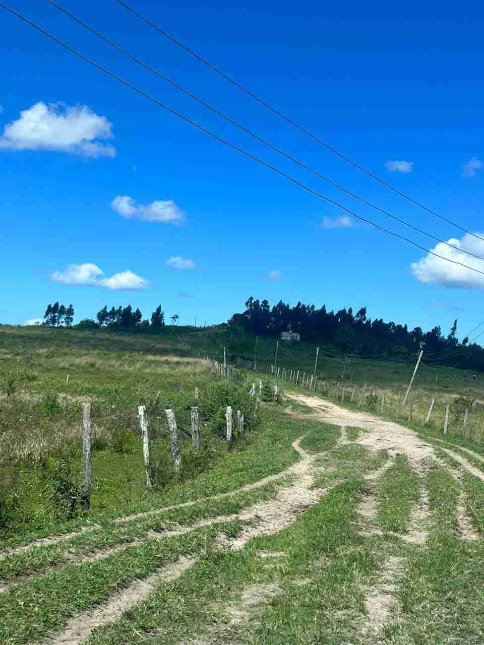 Fazenda à Venda, sao vicente, Araruama, RJ