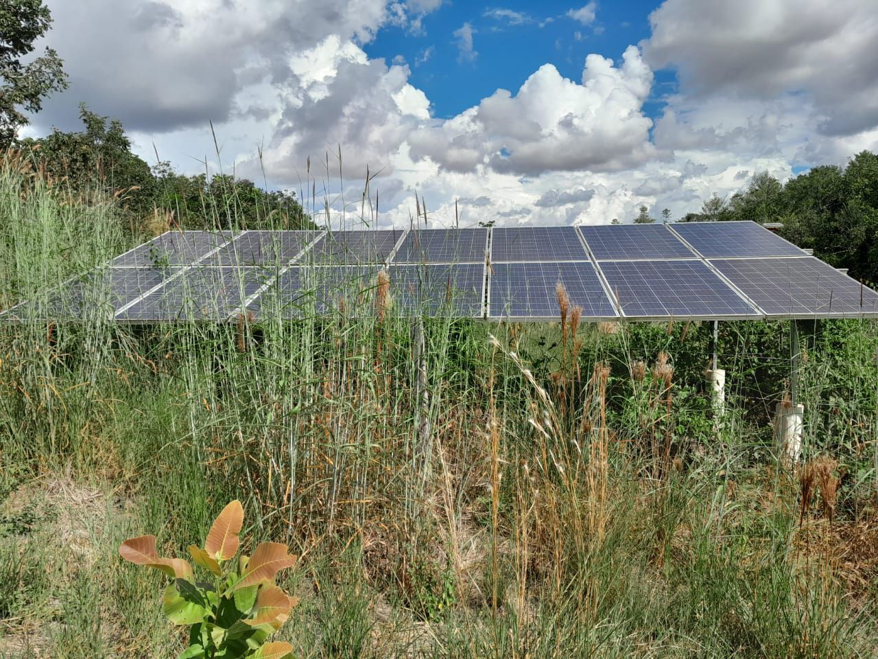 Fazenda 2149 hectares a venda, JÁ PLANTADO, PISTA DE POUSO-  Itiquira, MT