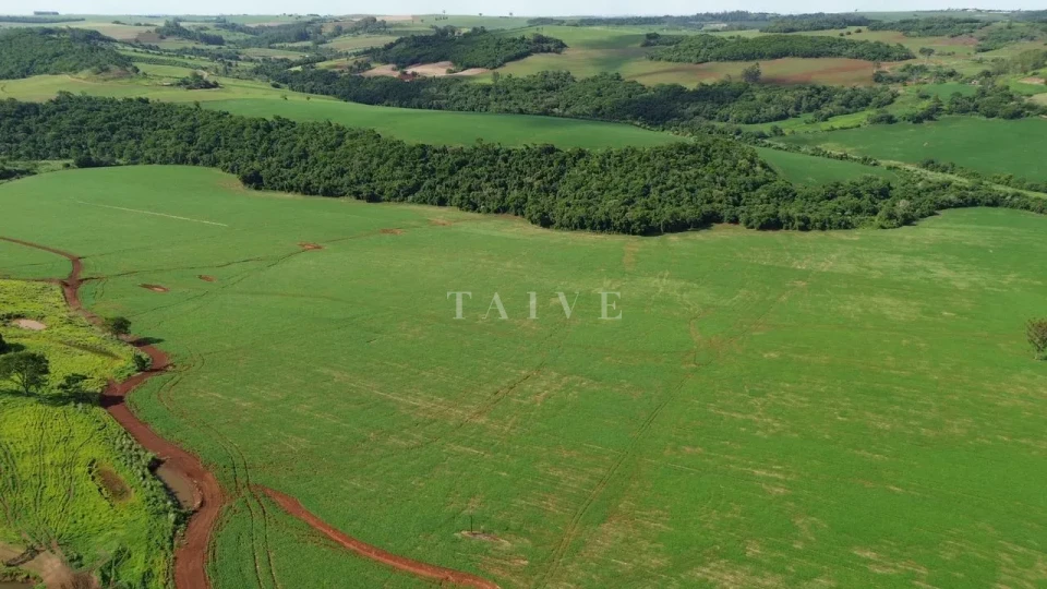 Imagens do imóveis Fazenda/Sítios/Chácaras À Venda São Luiz Londrina