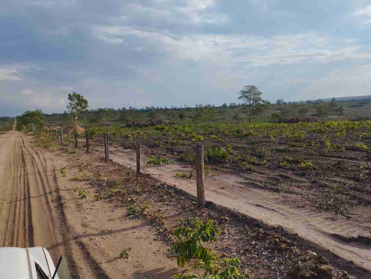 Fazenda 3000 hectares à venda , área plana, casa sede, barracão, poço artesiano, internet e 63 km da cidade de Campos de Julio MT