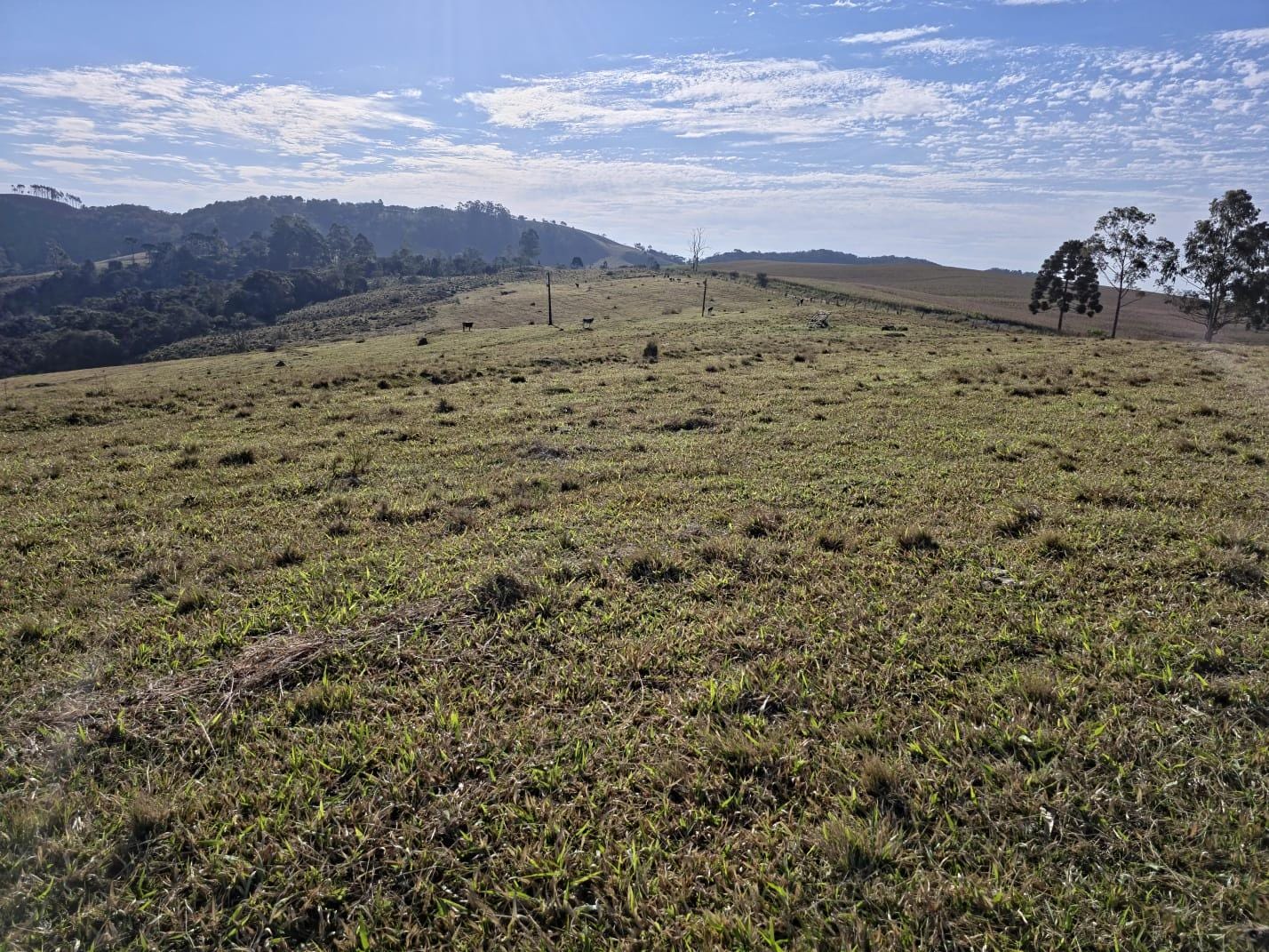 Fazenda à venda, Área Rural de Capão Bonito, Capão Bonito, SP