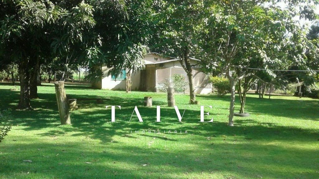 Fazenda 850 hectares à venda, em Sapezal MT, plantio soja e milho plana e mecanizável, com infraestrutura