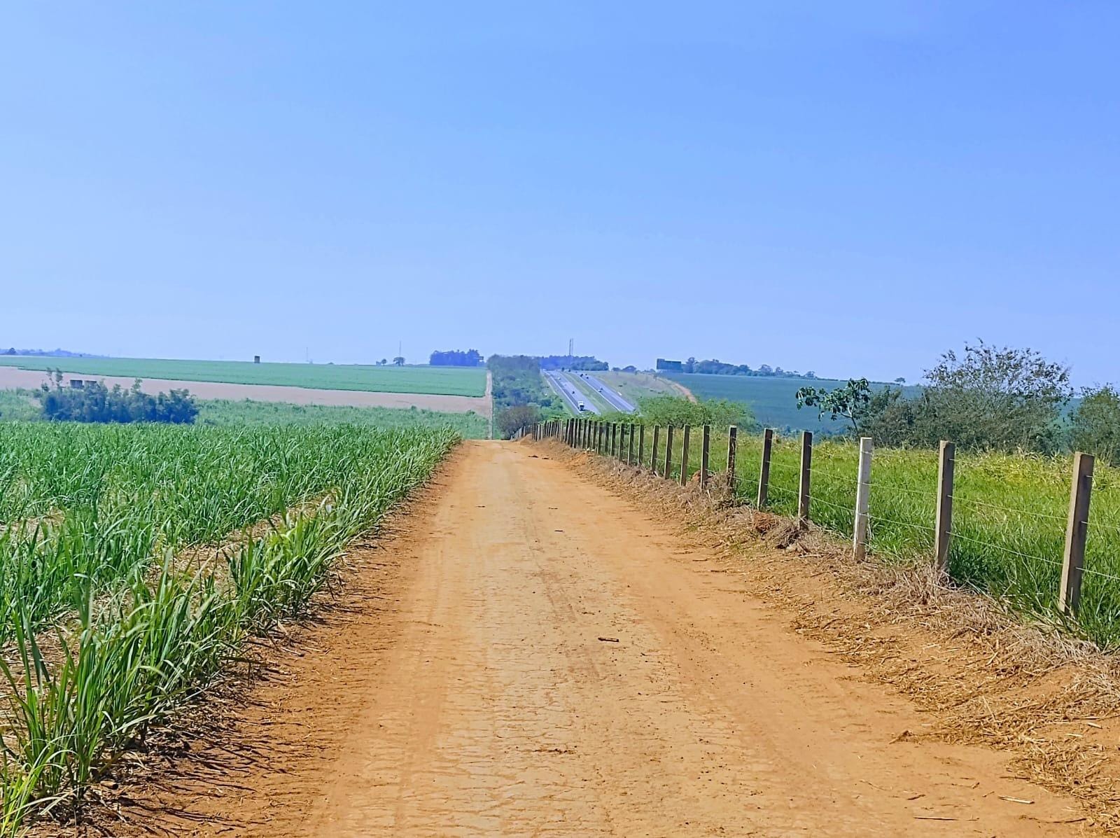 Fazenda à venda, Centro, Santa Bárbara D'Oeste, SP