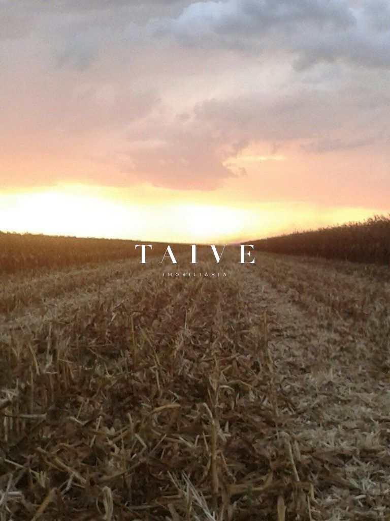 Fazenda 850 hectares à venda, em Sapezal MT, plantio soja e milho plana e mecanizável, com infraestrutura