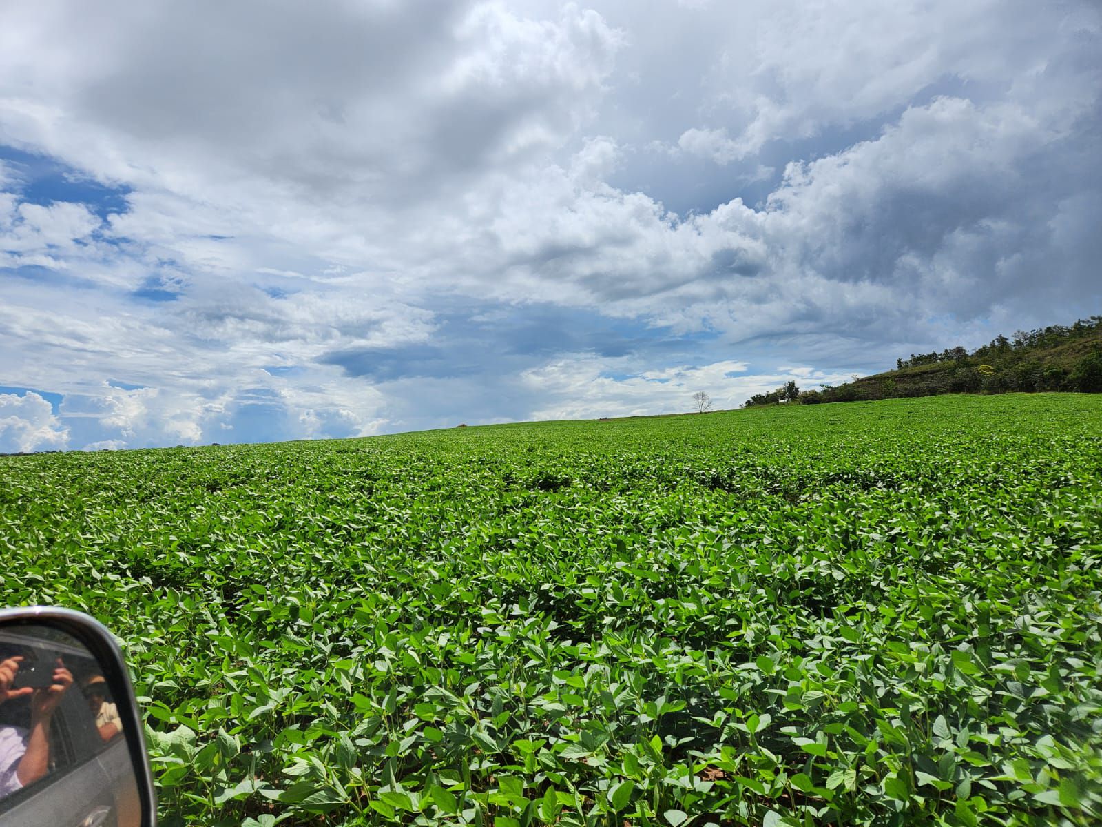 Fazenda 2149 hectares a venda, JÁ PLANTADO, PISTA DE POUSO-  Itiquira, MT