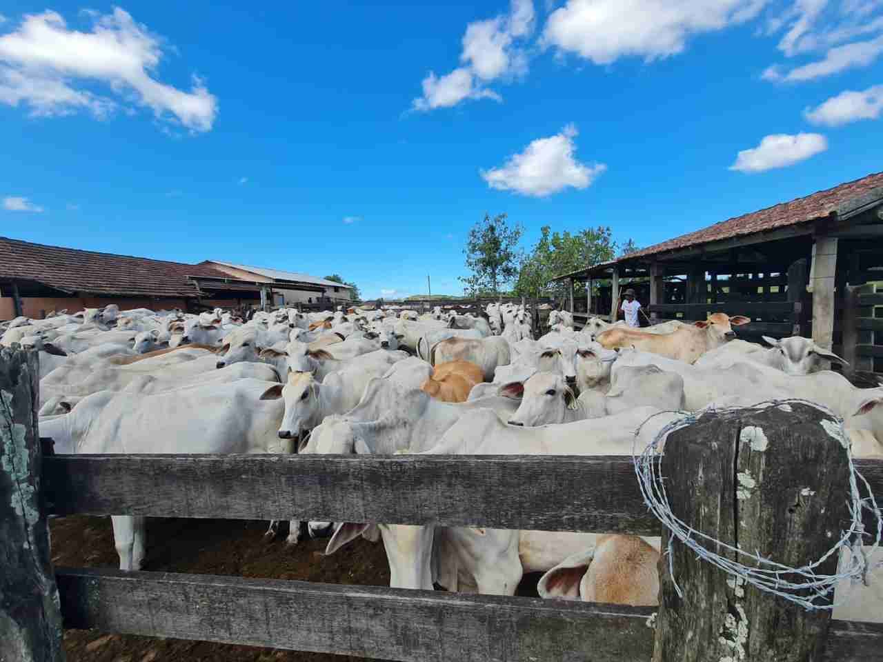 Fazenda à Venda, sao vicente, Araruama, RJ