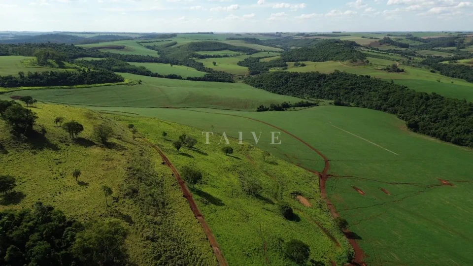 Imagens do imóveis Fazenda/Sítios/Chácaras À Venda São Luiz Londrina