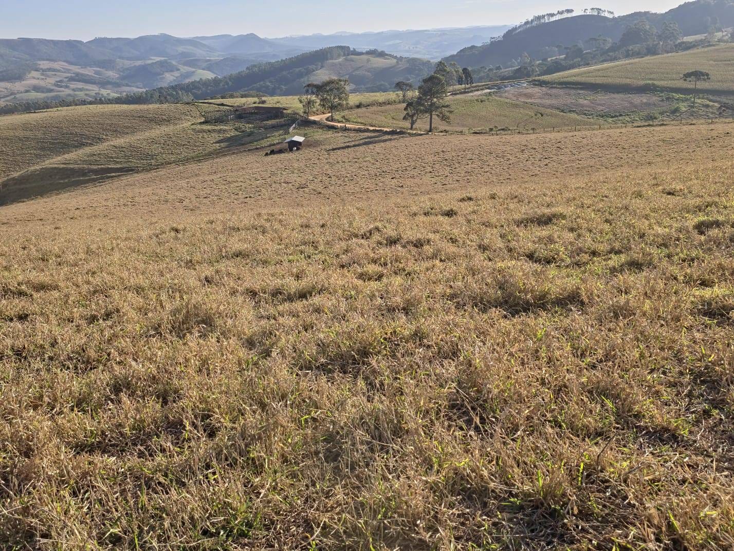 Fazenda à venda, Área Rural de Capão Bonito, Capão Bonito, SP