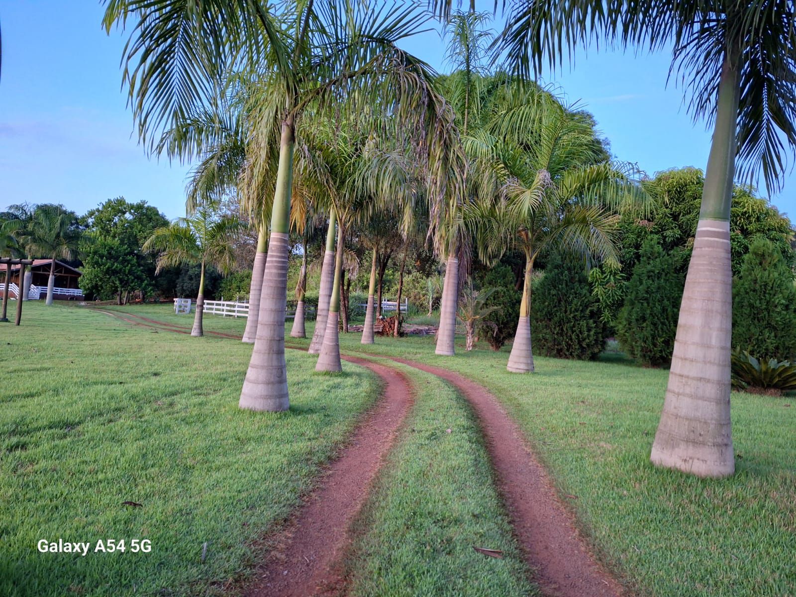 Chácara 9mil m2 à Venda, centro, Ibiporã, PR