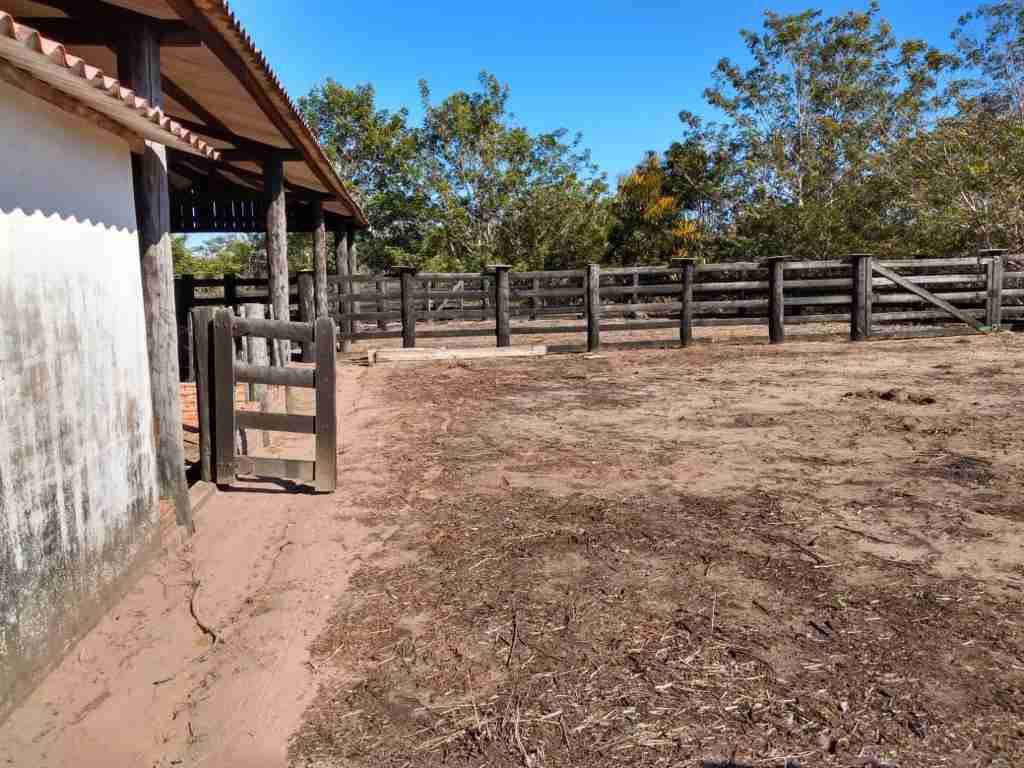 Fazenda 3000 hectares à venda , área plana, casa sede, barracão, poço artesiano, internet e 63 km da cidade de Campos de Julio MT