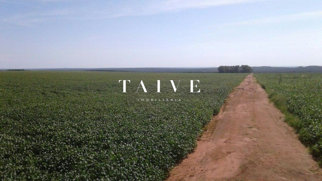 Fazenda 850 hectares à venda, em Sapezal MT, plantio soja e milho plana e mecanizável, com infraestrutura