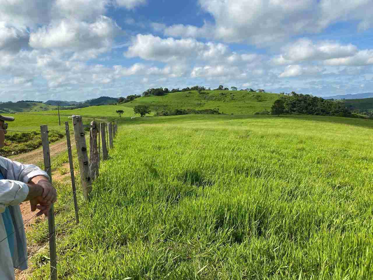 Oportunidade Fazenda 160 alqueires à venda, poço artesiano, 02 casas, perto de Ortigueira Pr