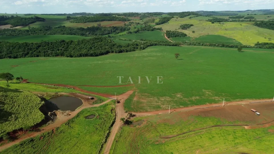 Imagens do imóveis Fazenda/Sítios/Chácaras À Venda São Luiz Londrina