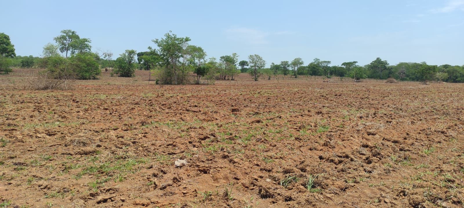 Fazenda à Venda, centro, Rosário Oeste, MT